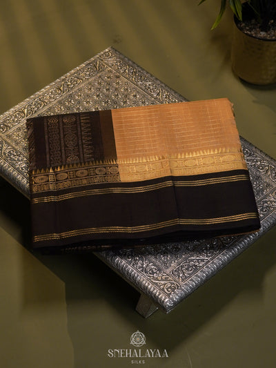 Golden Beige Kanchi Silk Cotton Saree with Zari Checks