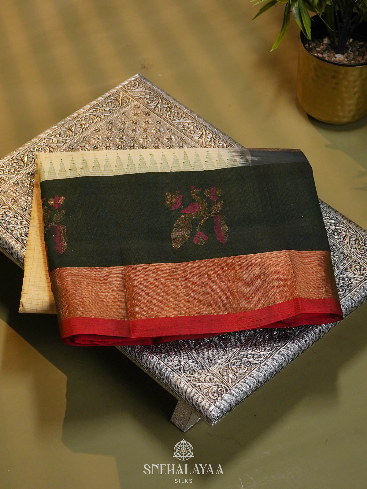 Cream Kanchi Silk Cotton Saree with Zari Checks