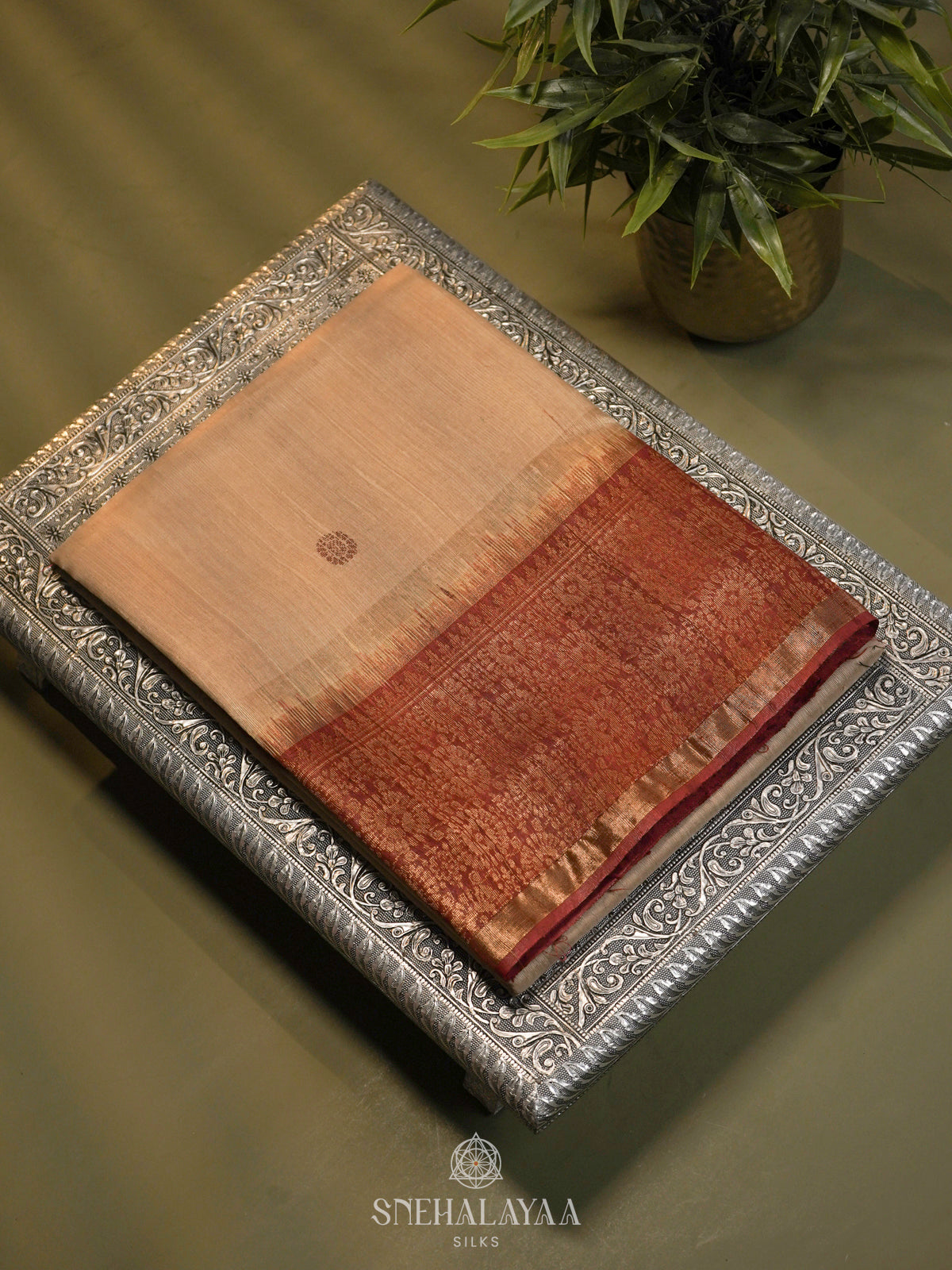 Golden Beige Dupion Silk Saree