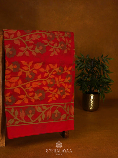 Red Bengal Cotton Saree