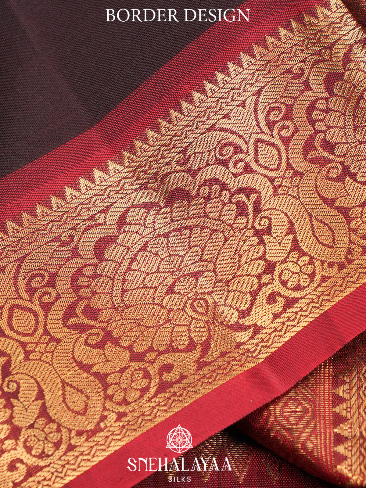 Coffee Brown Kanjivaram Silk Saree