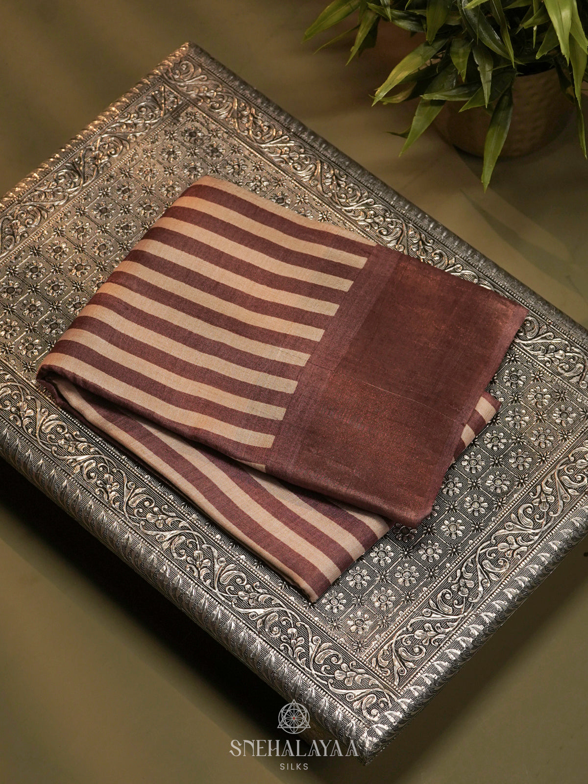 Brown Tussar Saree