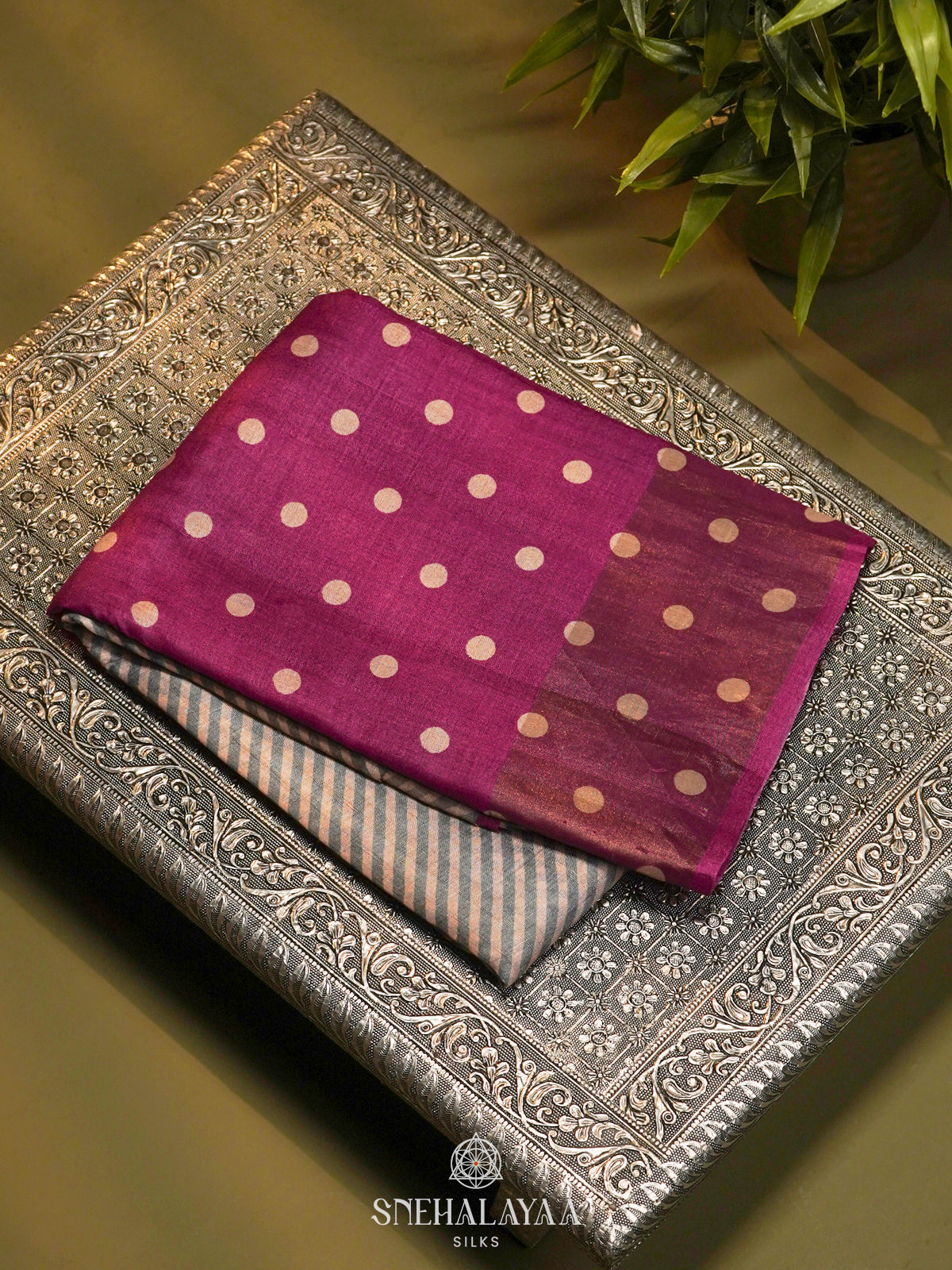 Off White Tussar Saree