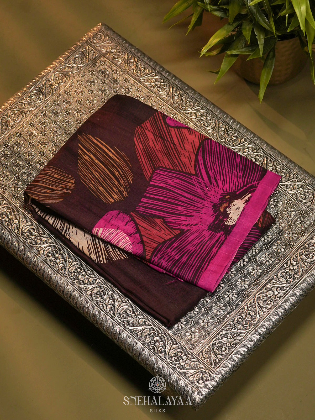Brown Tussar Saree