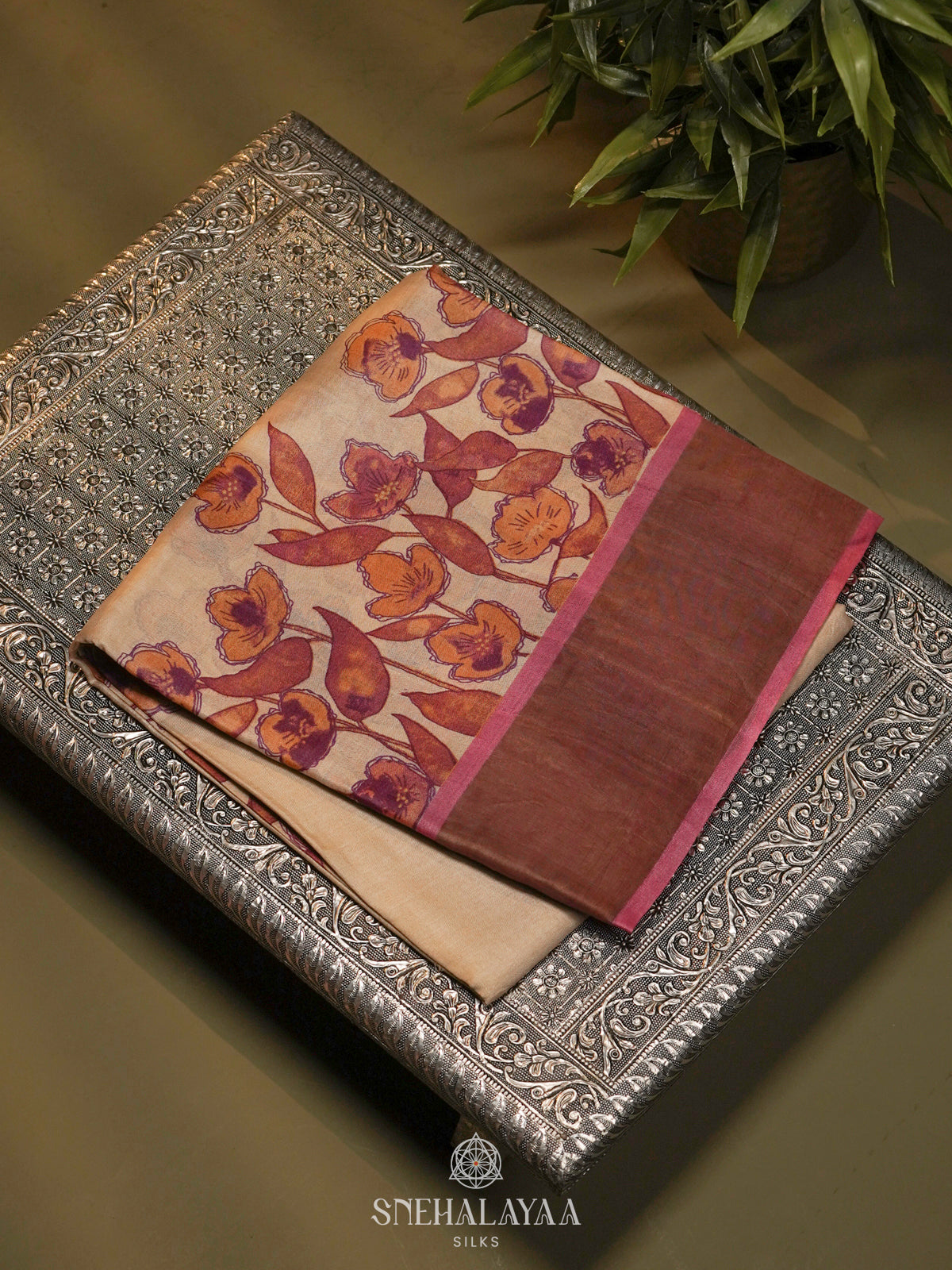 Beige Tussar Saree