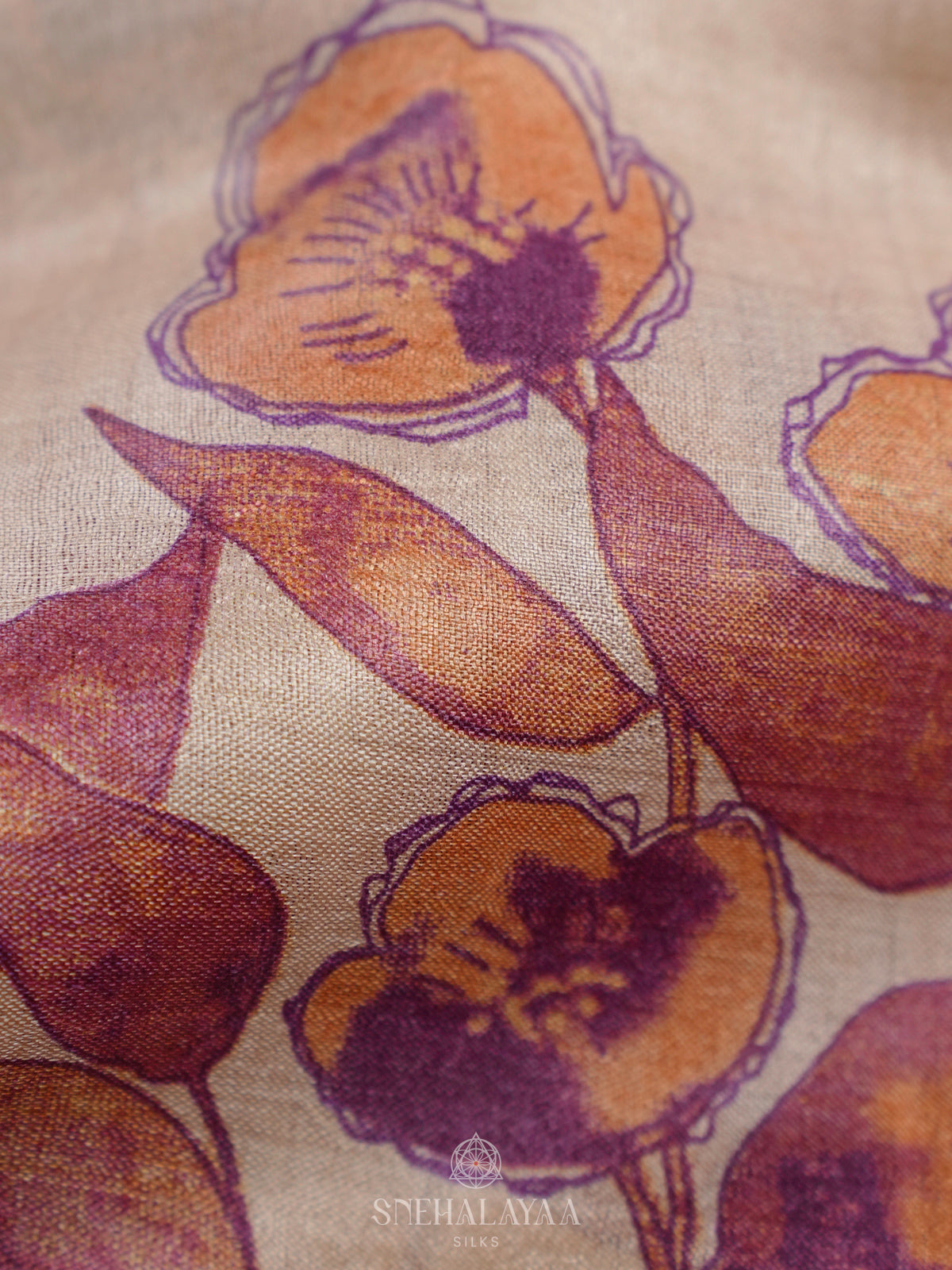Beige Tussar Saree