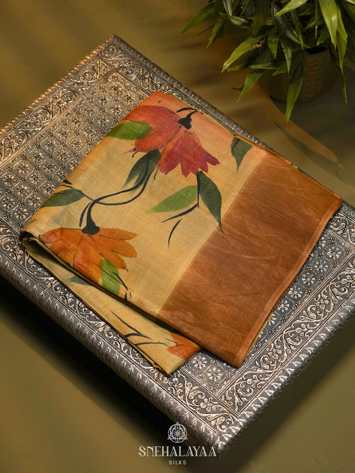 Multi colour Tussar Saree