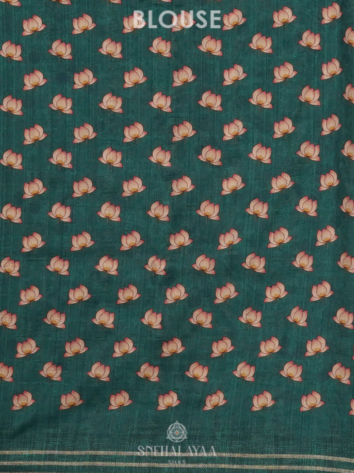 Pale Green Tussar Saree