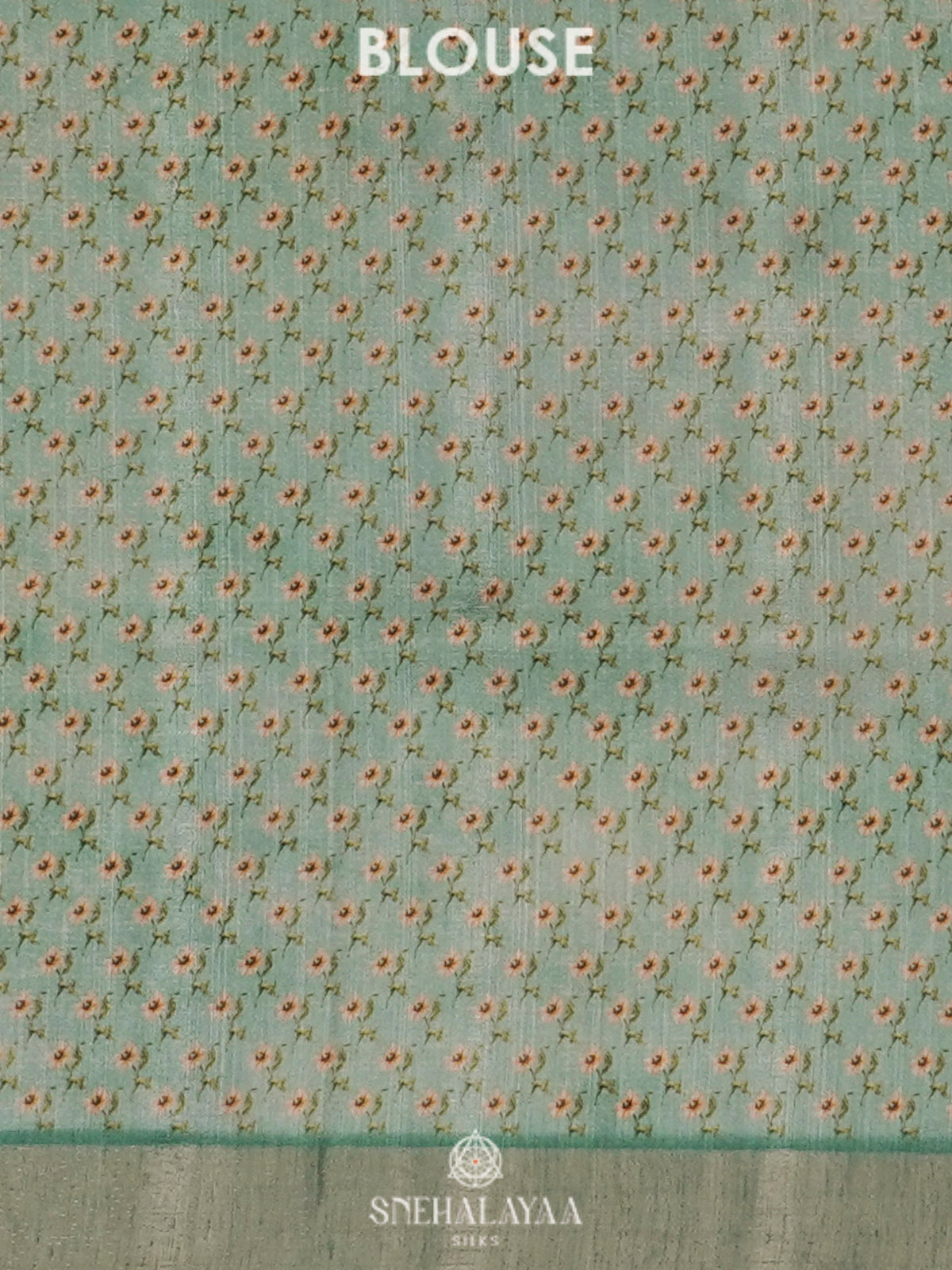 Mint Green Tussar Saree