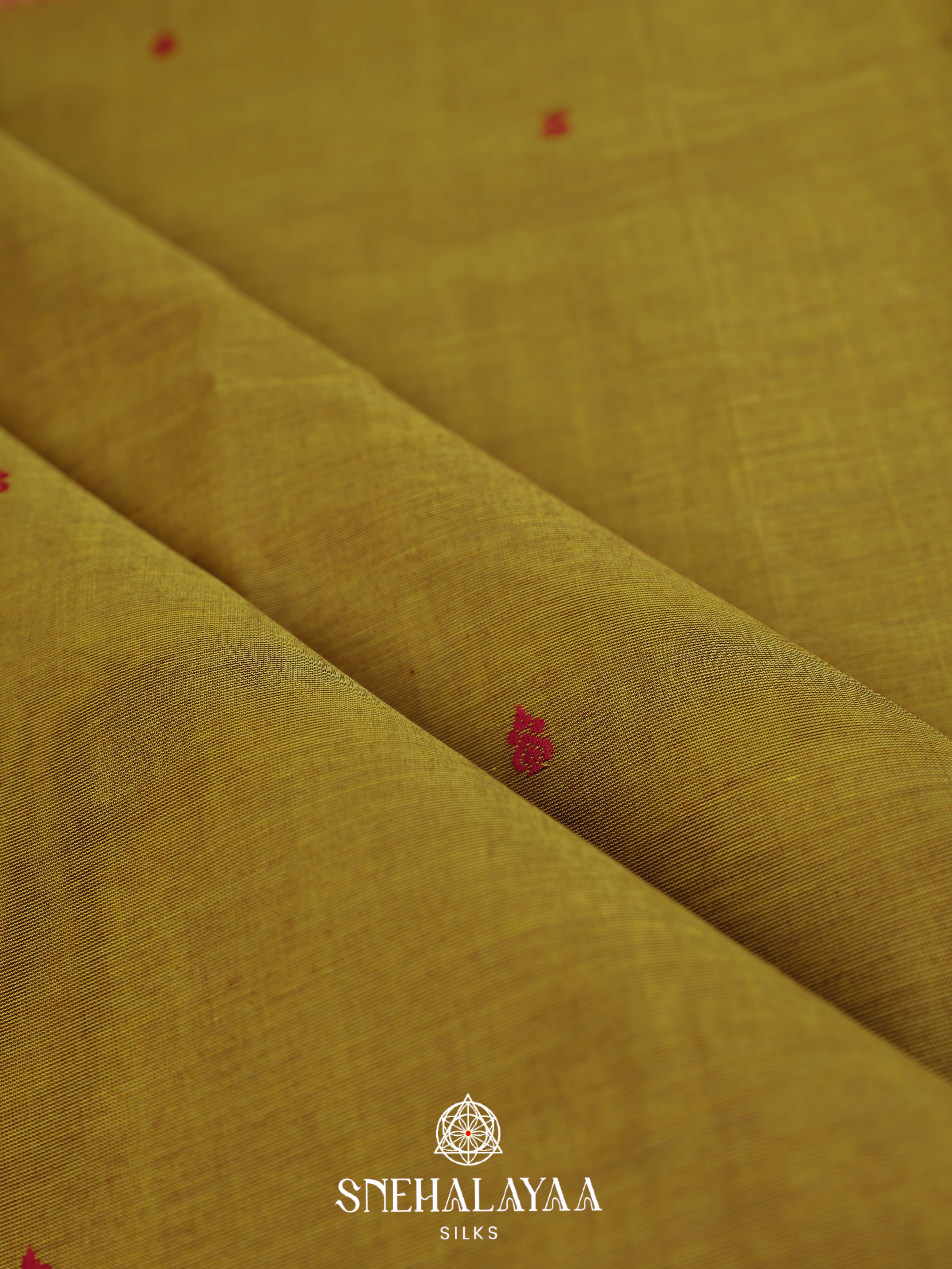 Mehendi Green Kanchi Cotton Saree