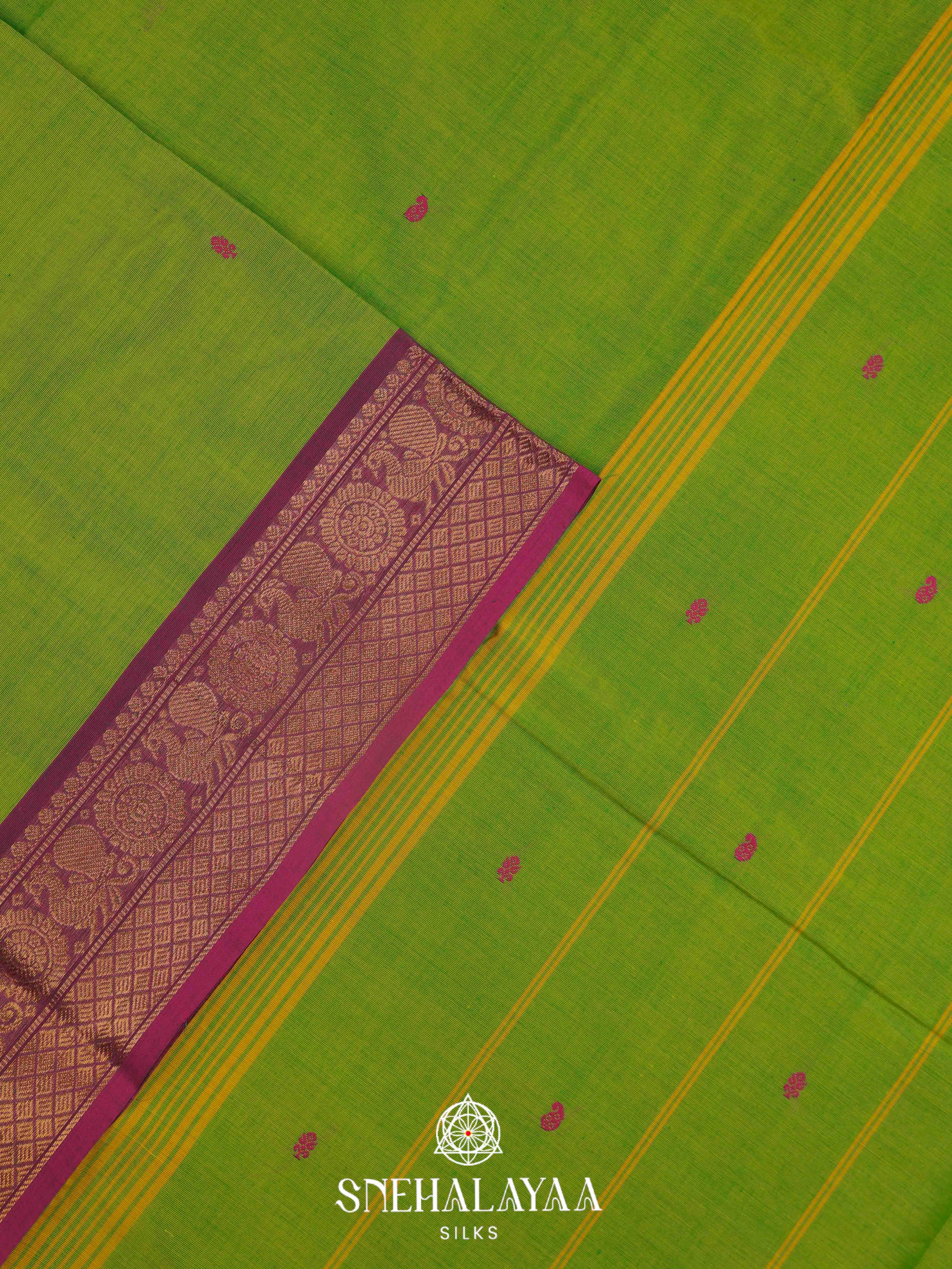 Green Kanchi Cotton Saree