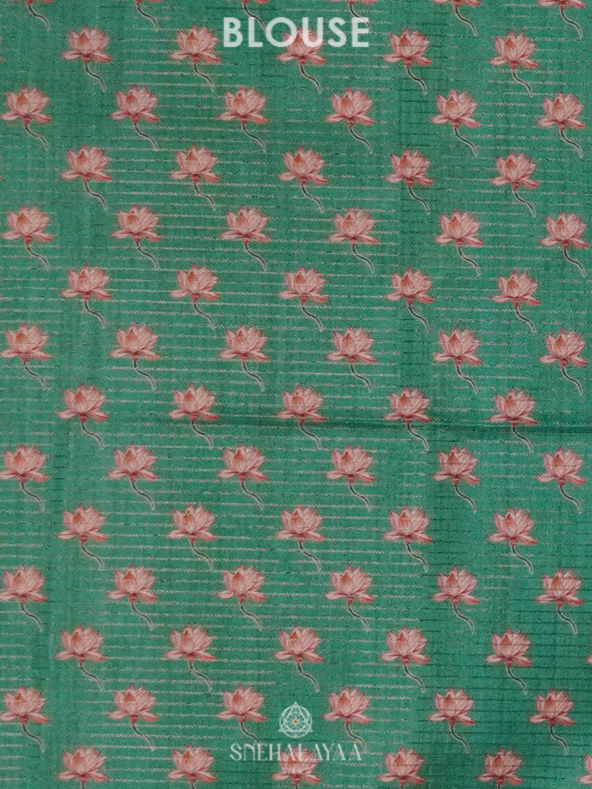 Mint Green Tussar Saree