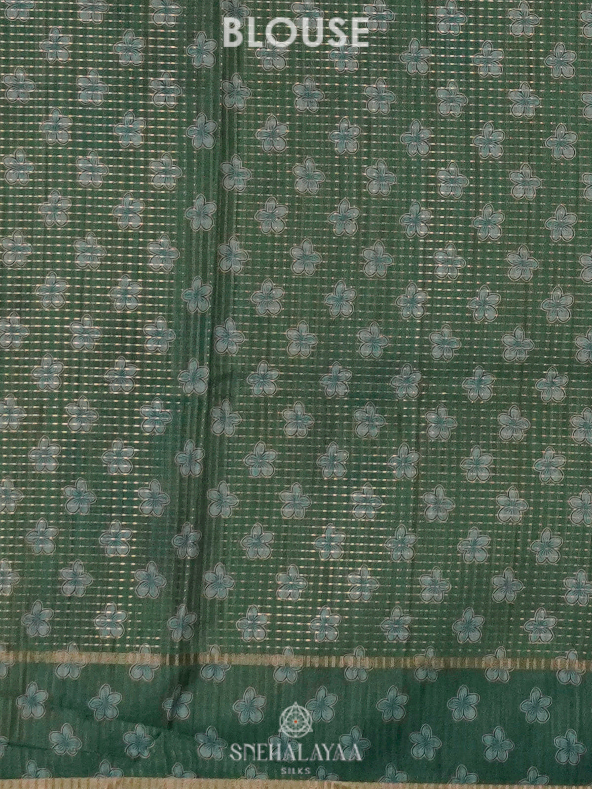 Beige with Green Border Tussar Saree
