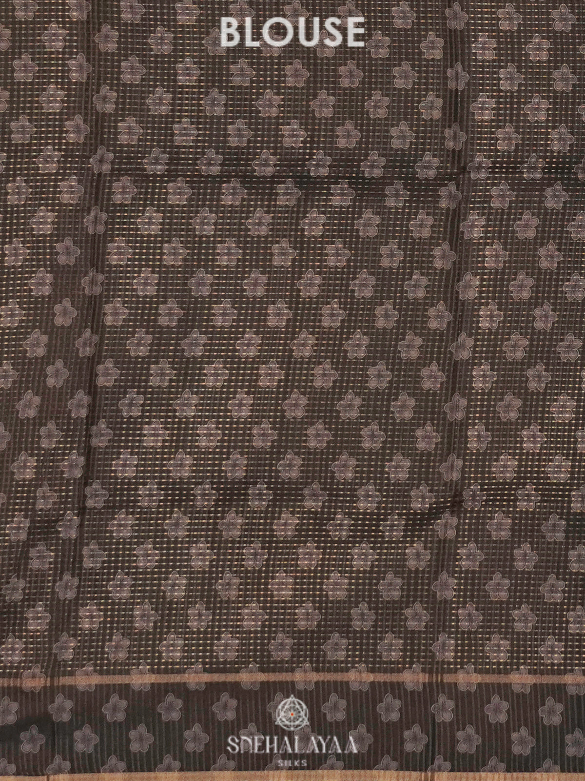 Beige with Grey Border Tussar Saree