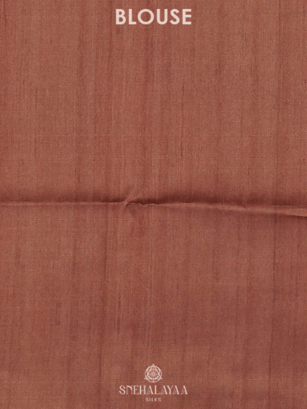 Brown Printed Madhubani Saree