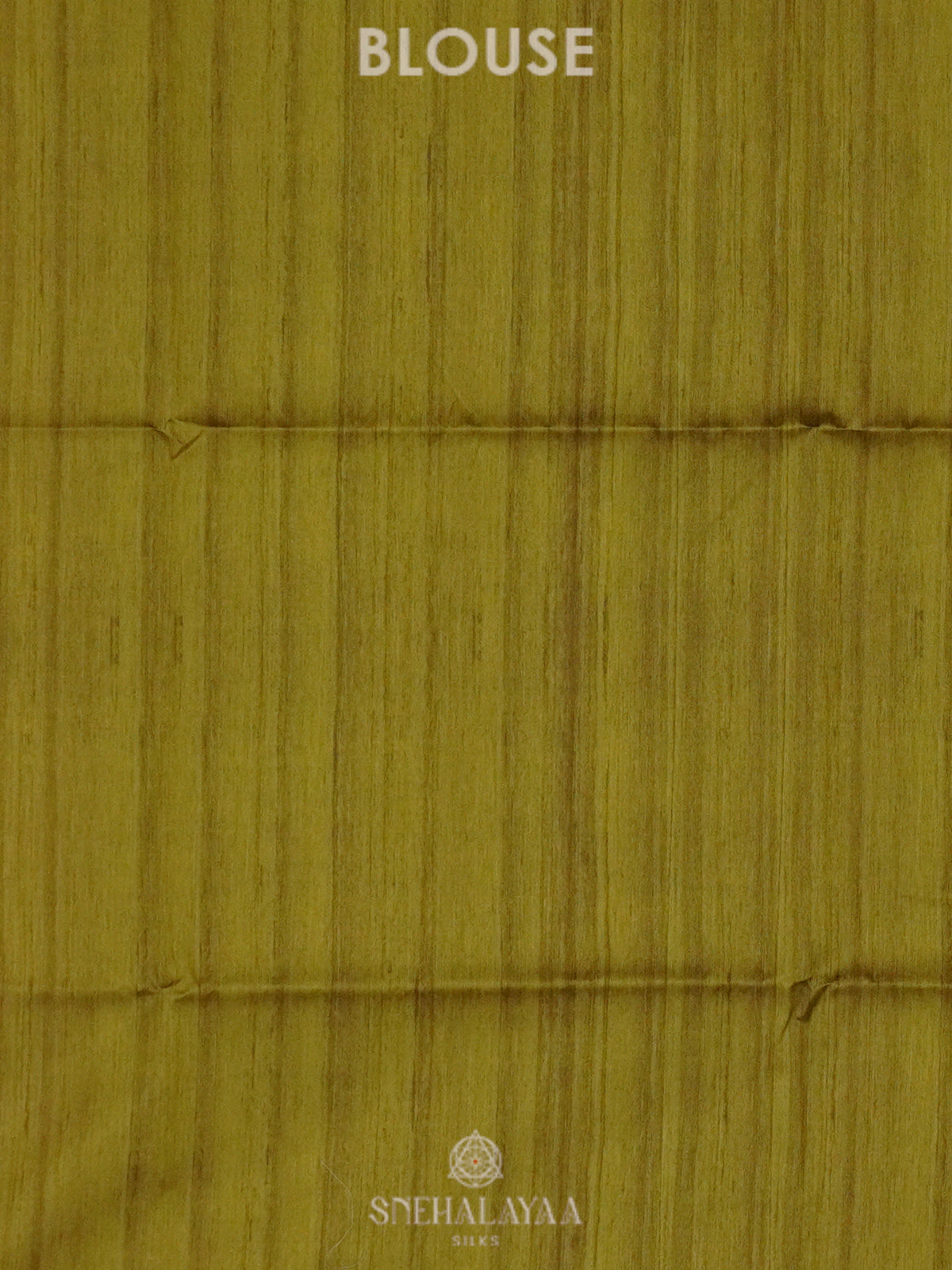 Beige with Lime Green Border Printed Madhubani Saree