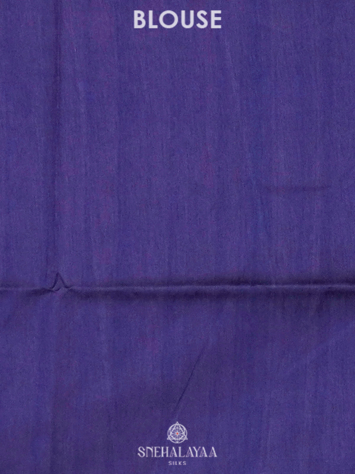 Beige with Blue Border Printed Madhubani Saree