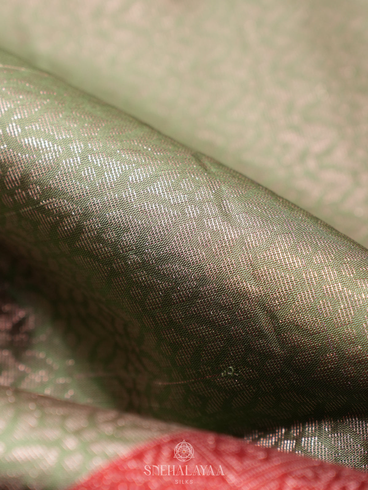 Pale Green Soft Silk Saree