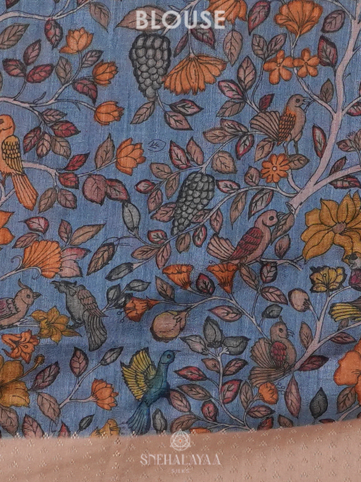 Brown Tussar Saree