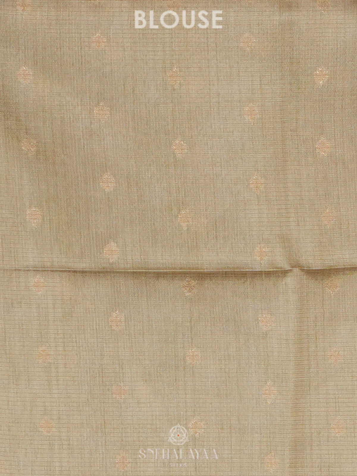 Pale Green Tussar Saree