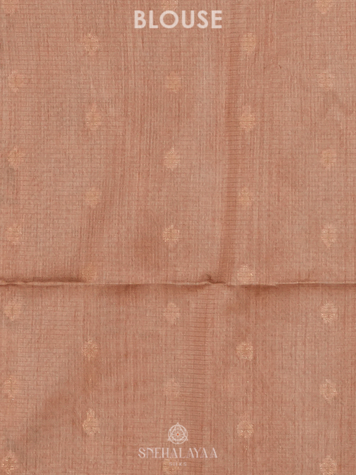 Cream Tussar Saree