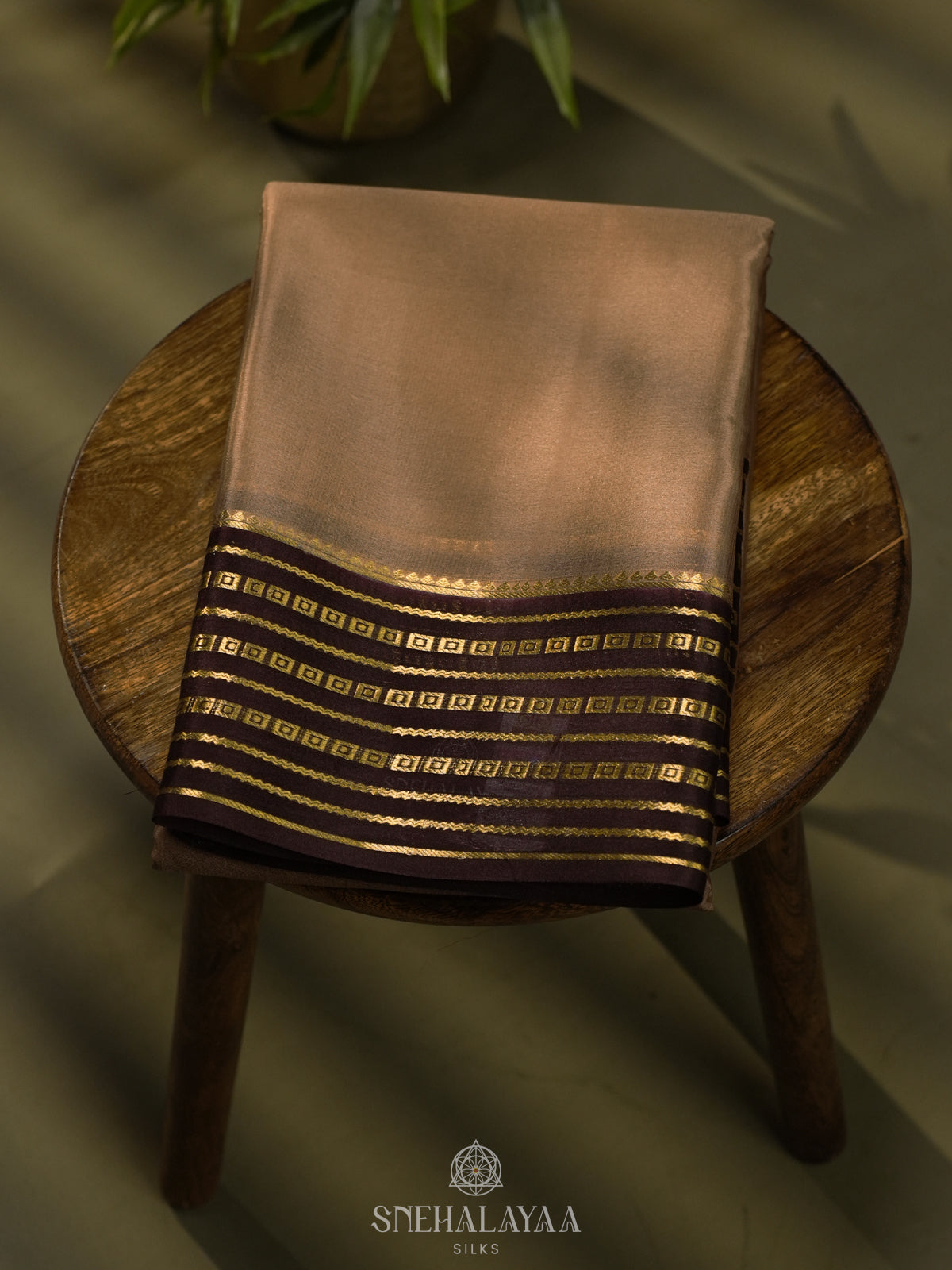 Beige Gold Mysore Crepe Silk Saree