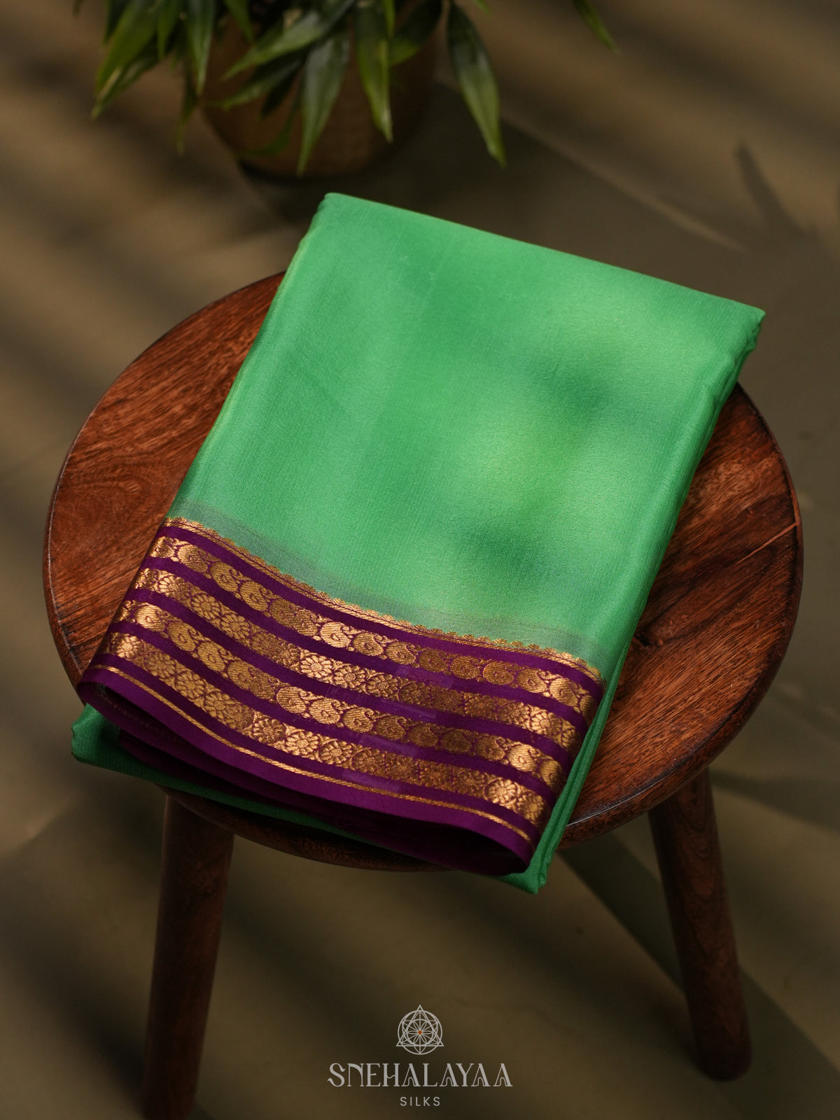 Mint Green Mysore Crepe Silk Saree