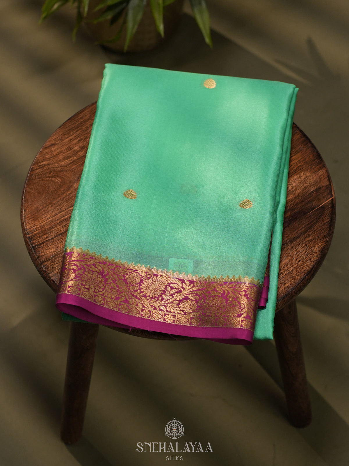 Mint Green Mysore Crepe Silk Saree