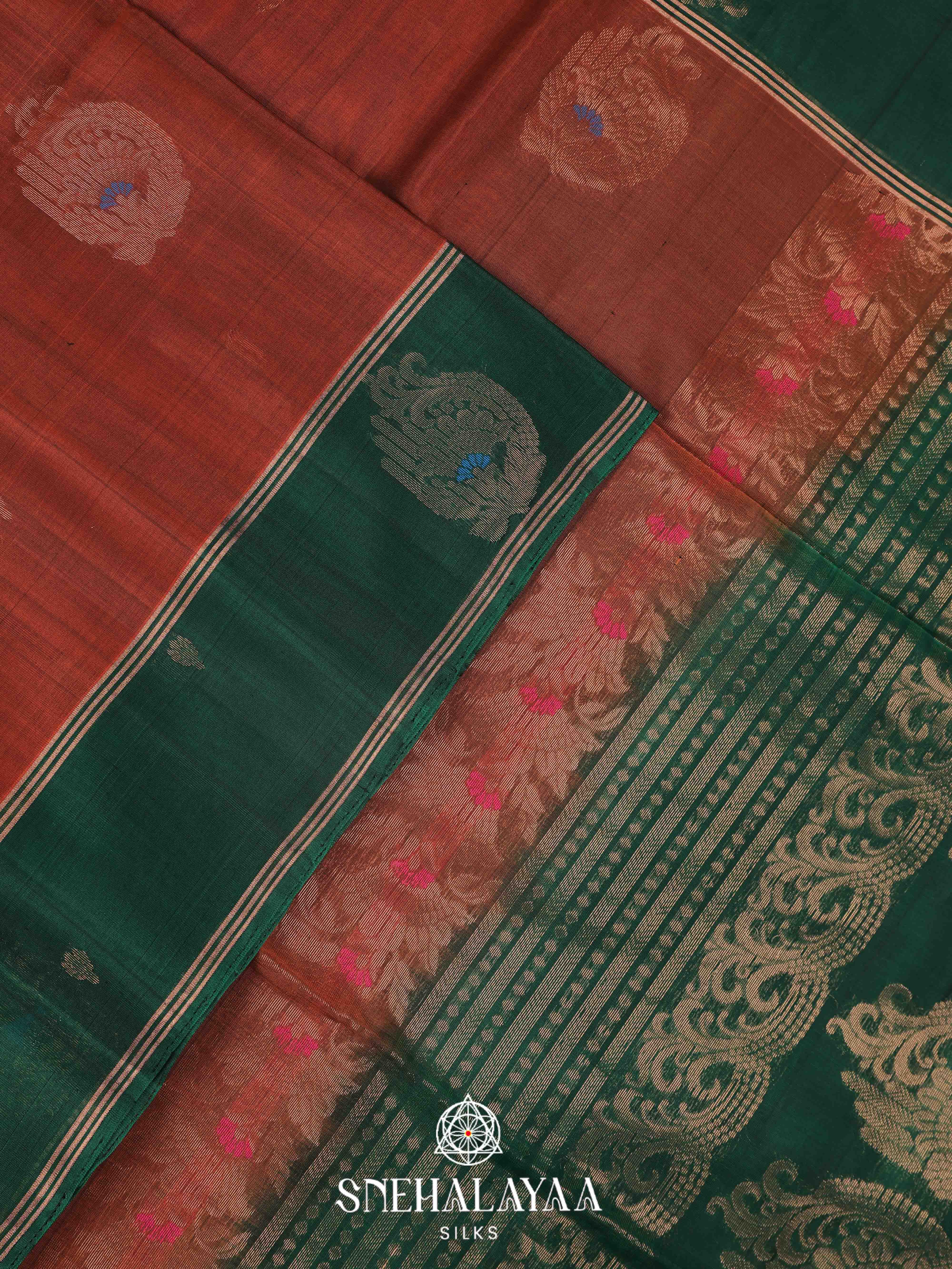 Burnt Orange Silk Cotton Saree
