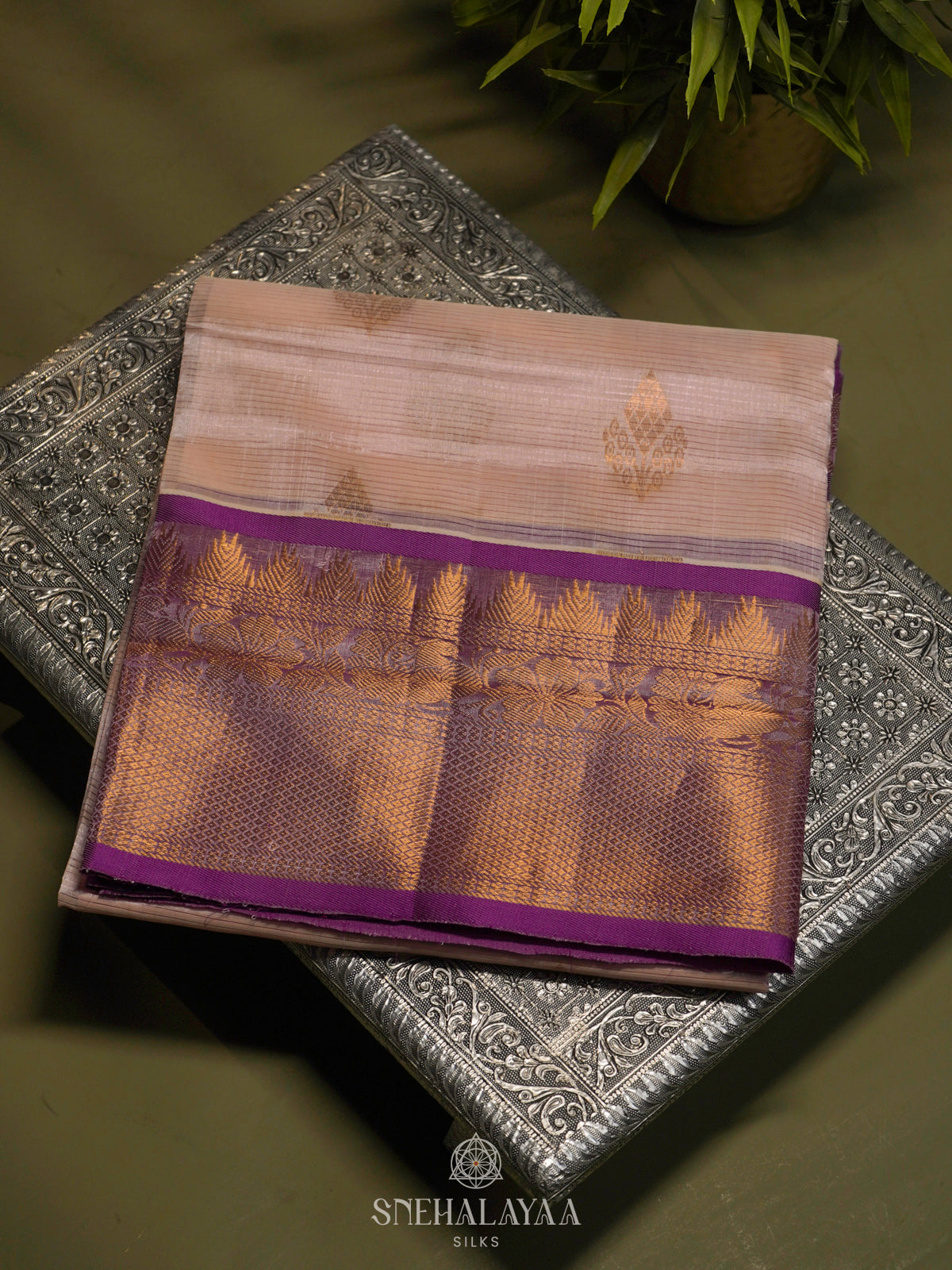 Cream Kuppadam Silk Cotton