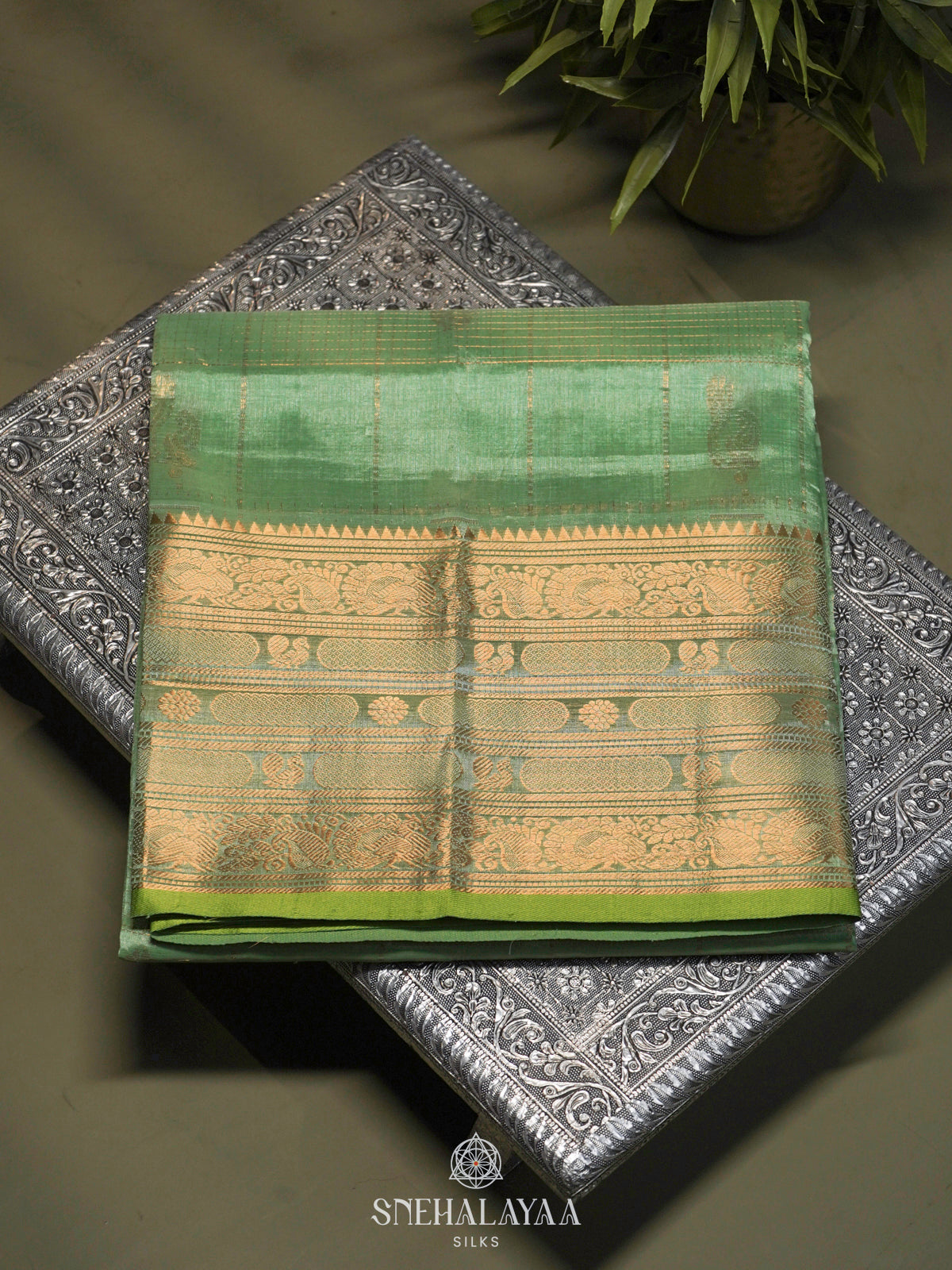Mint Green Kuppadam Silk Cotton