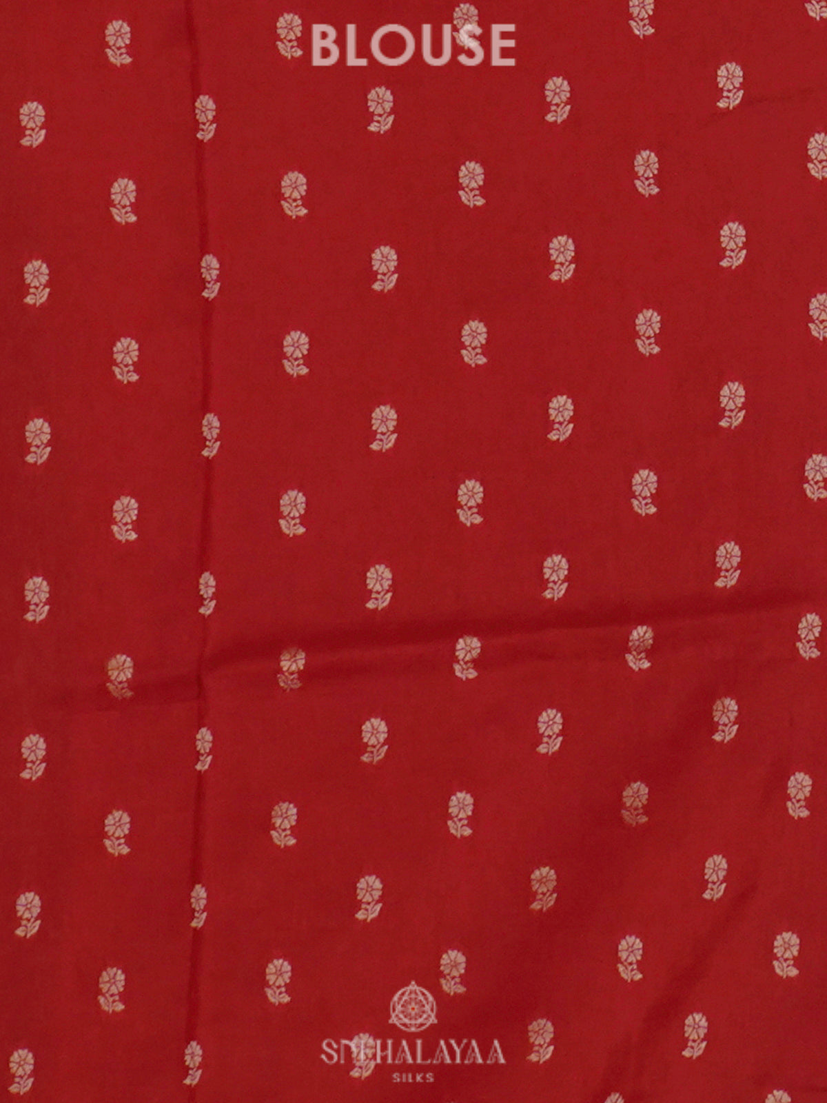 Forest Green Banaras Saree