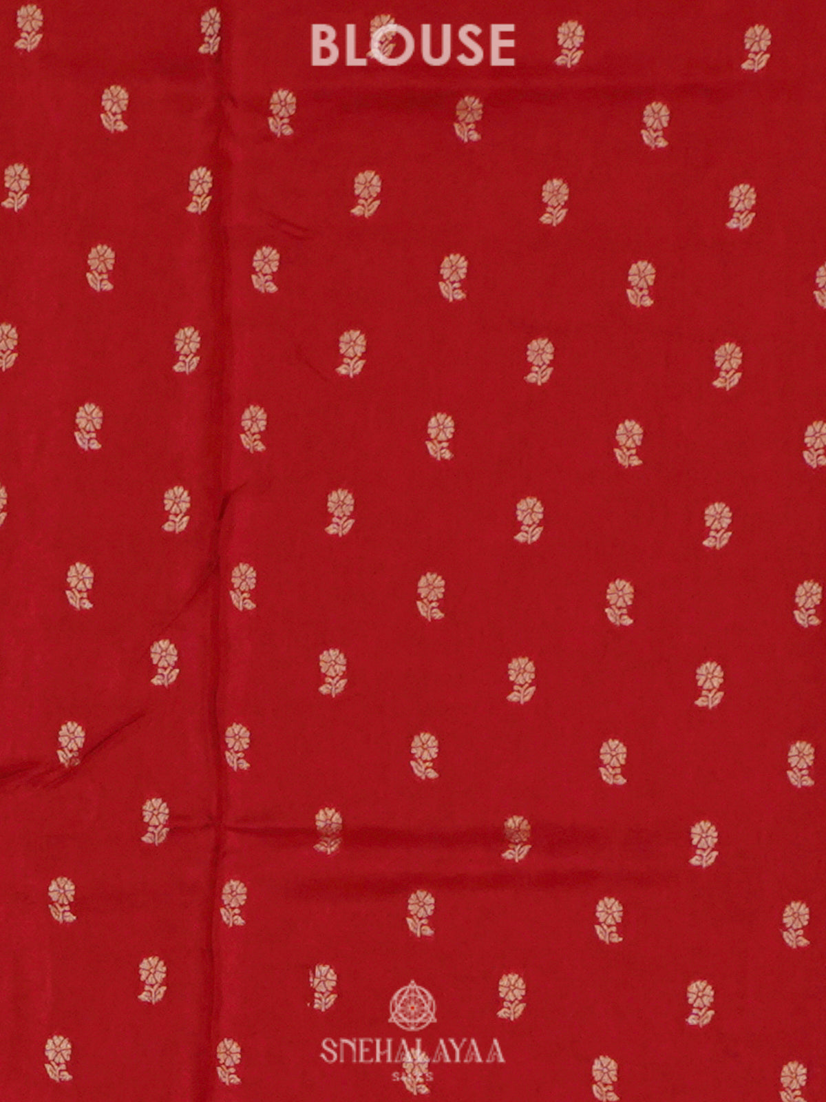 Brown Banaras Saree
