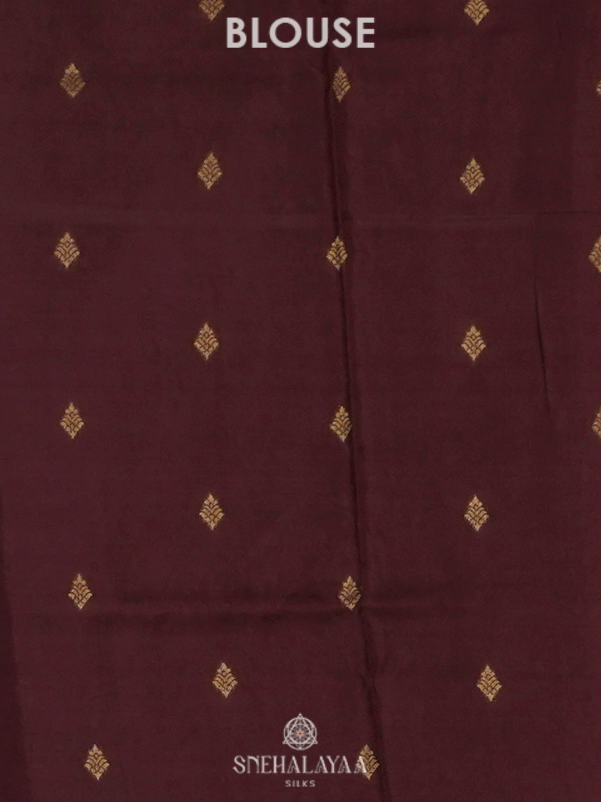 Burnt Orange Banaras Saree