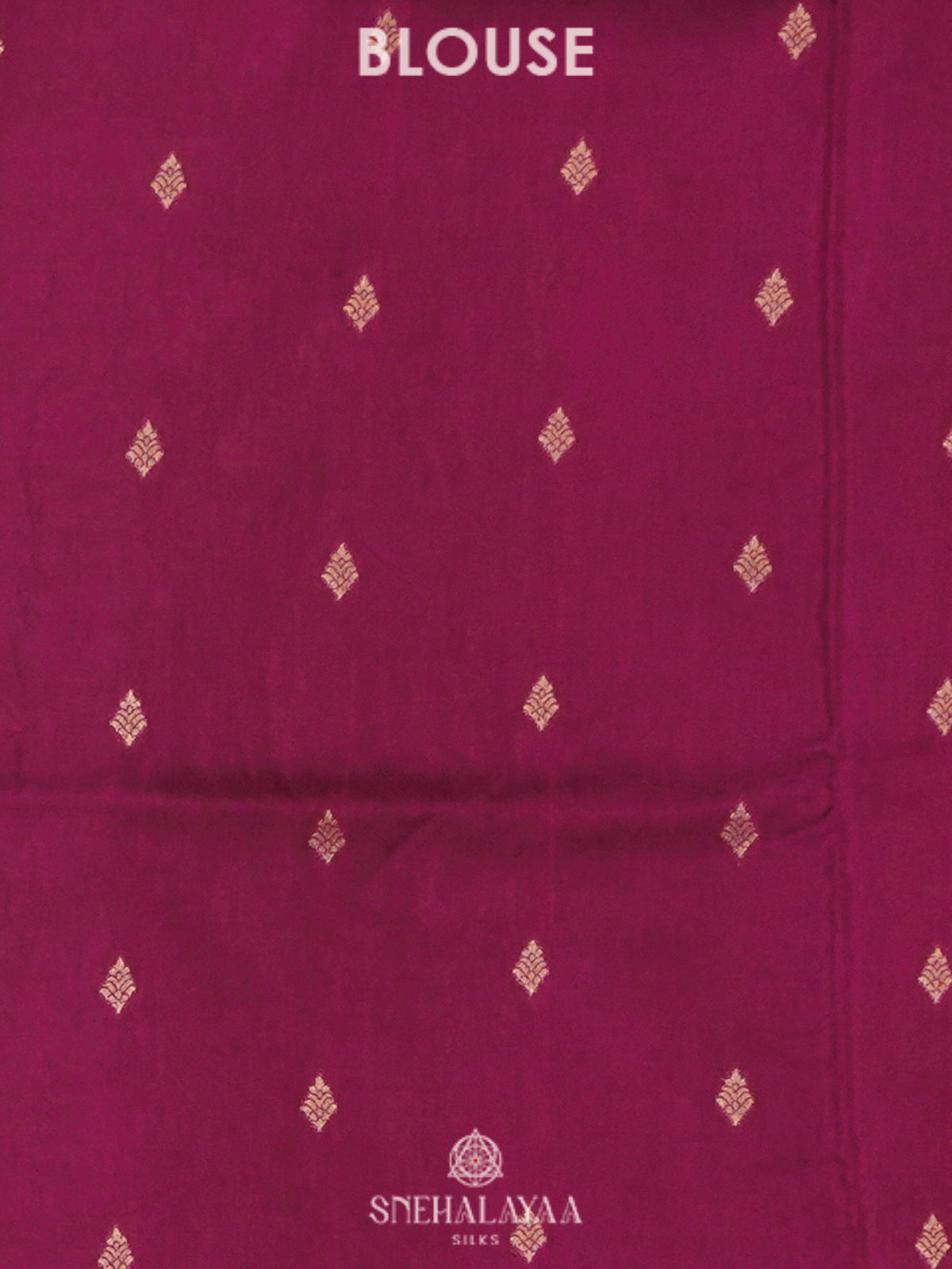 Burnt Orange Banaras Saree