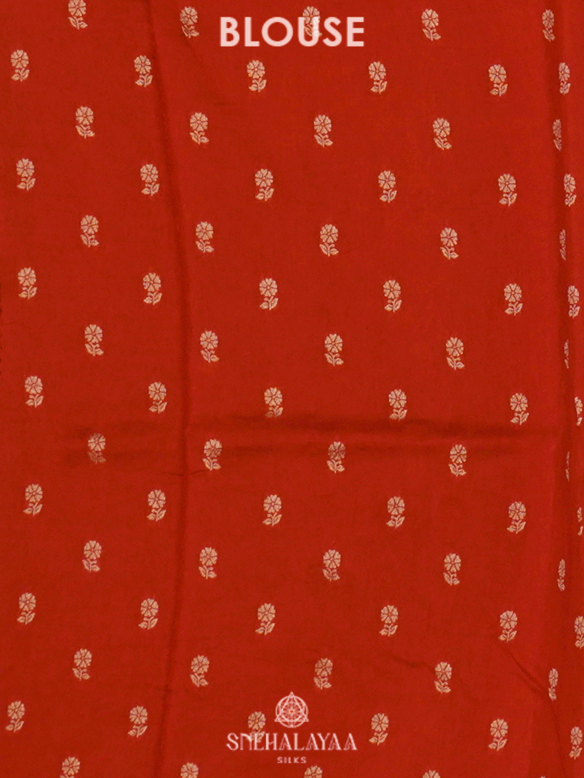 Cream Banaras Saree