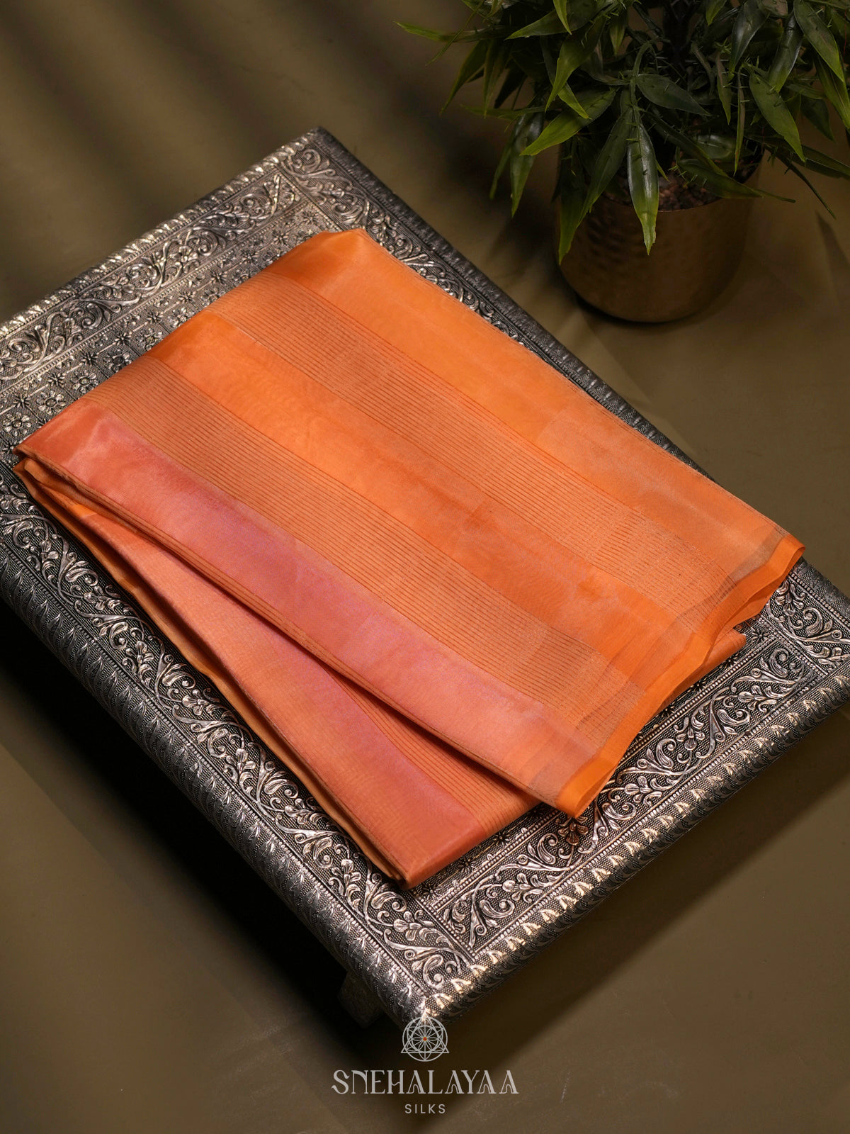 Orange Organza Saree