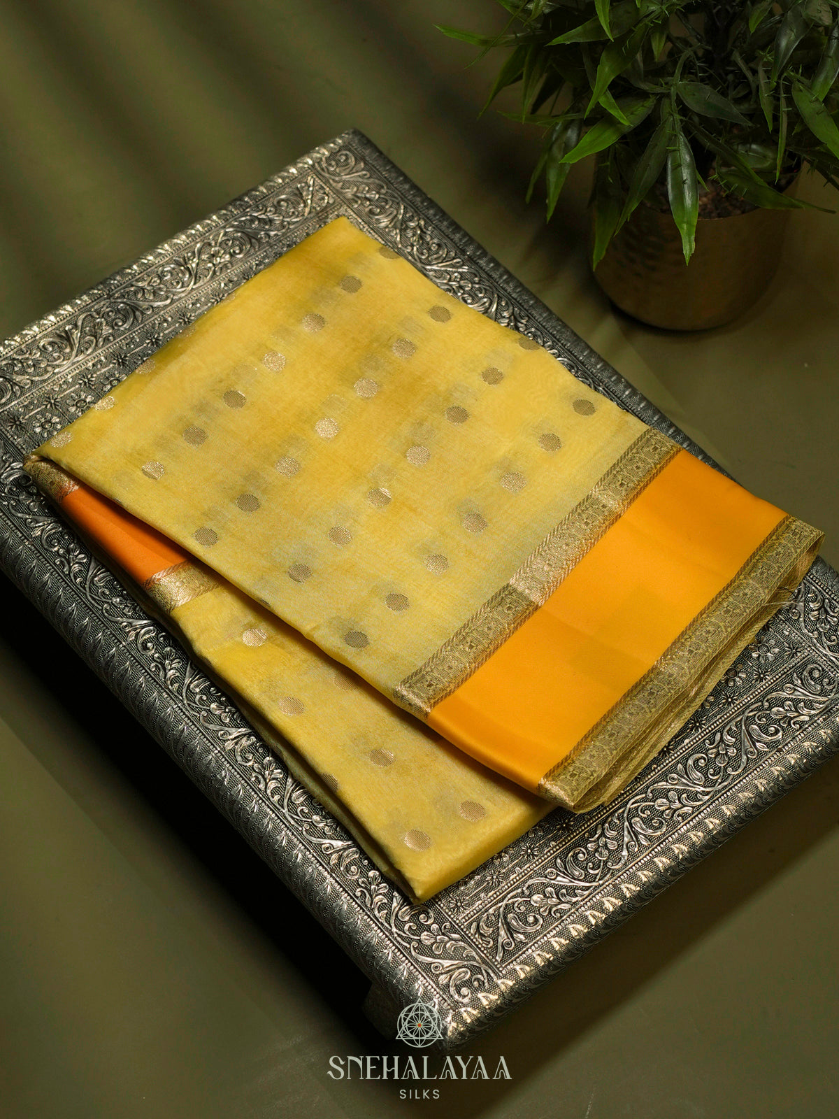 Pale Yellow Raw Silk Saree