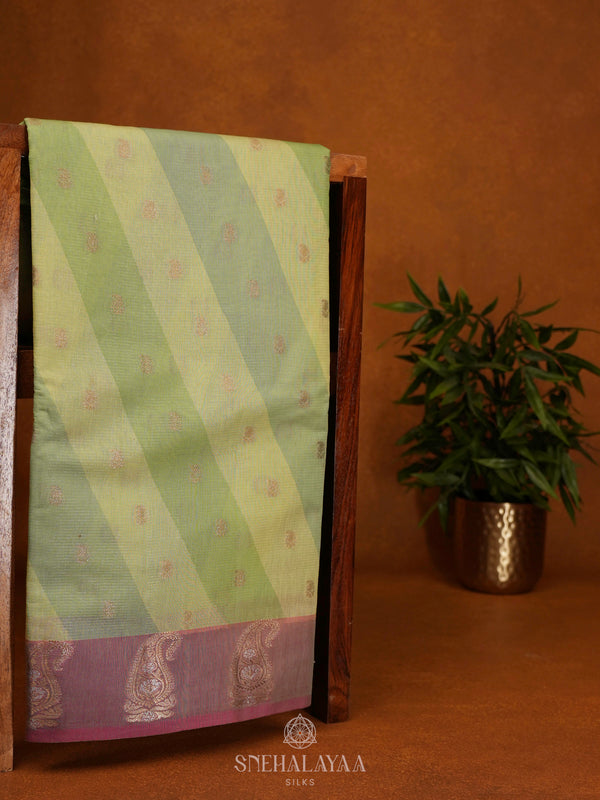 Pista Green Chanderi Saree