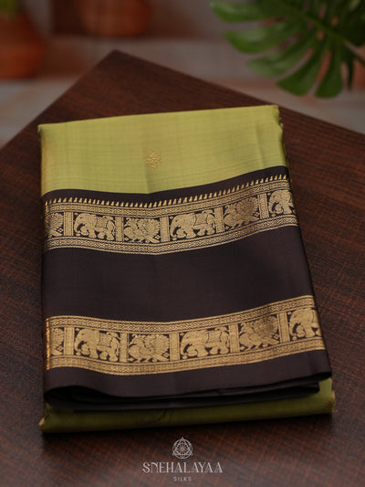 Pista Green Kanjivaram Silk Saree