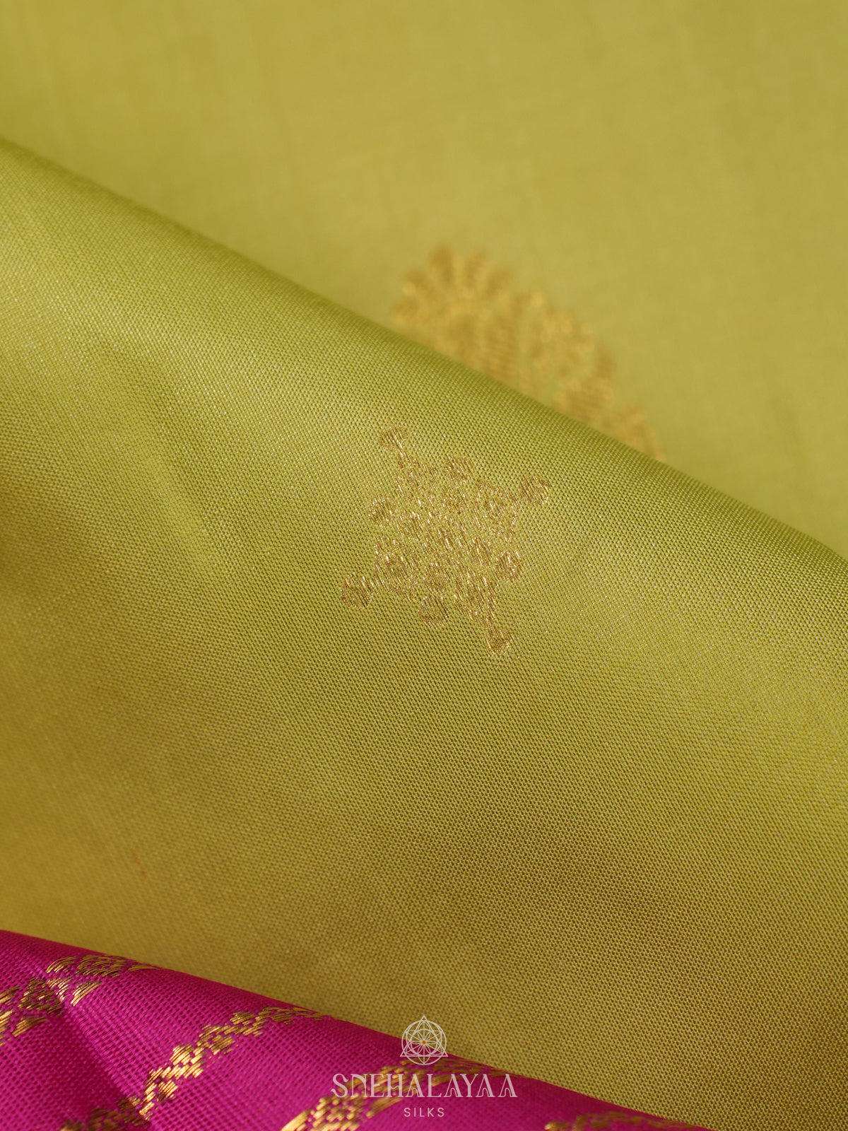 Pista Green Kanjivaram Silk Saree