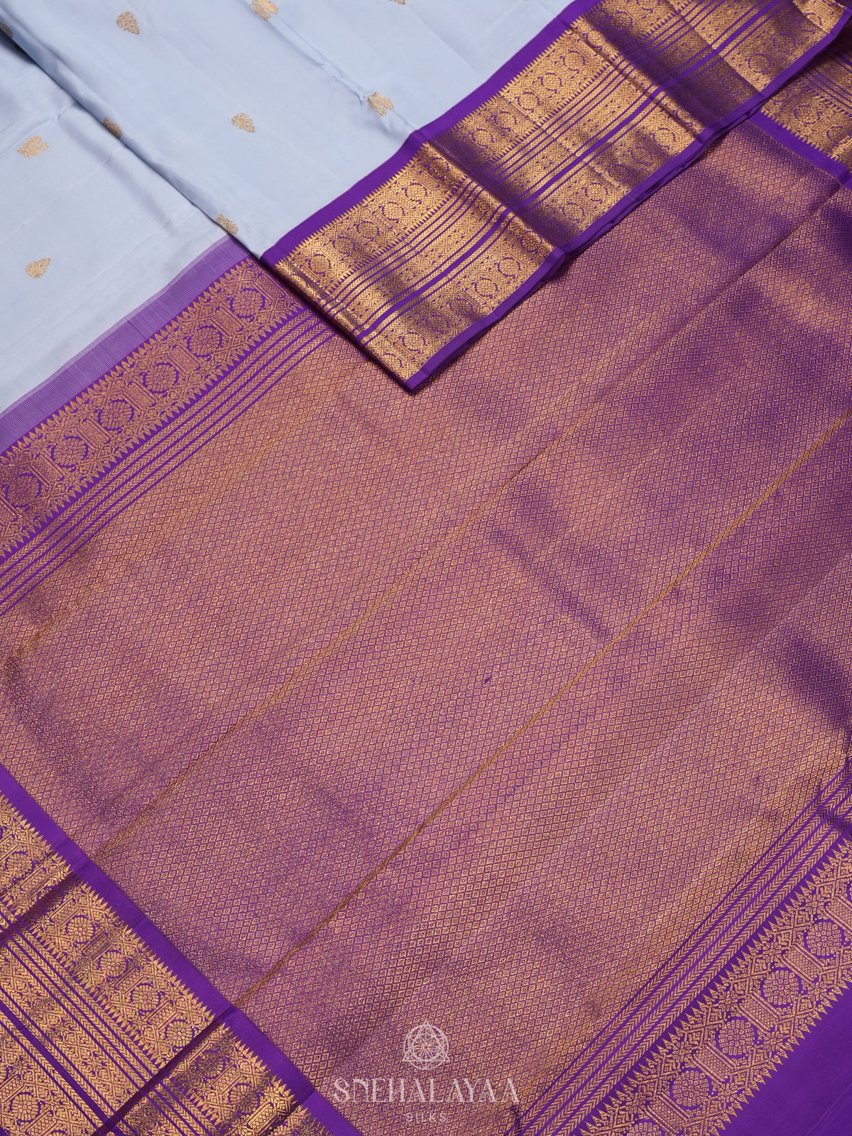 Pale Blue Kanjivaram Silk Saree