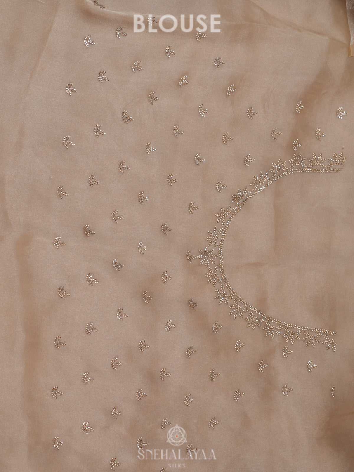 Beige Designer Saree