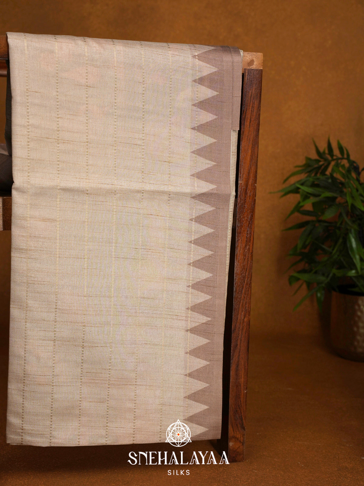 Beige  Raw Silk Saree