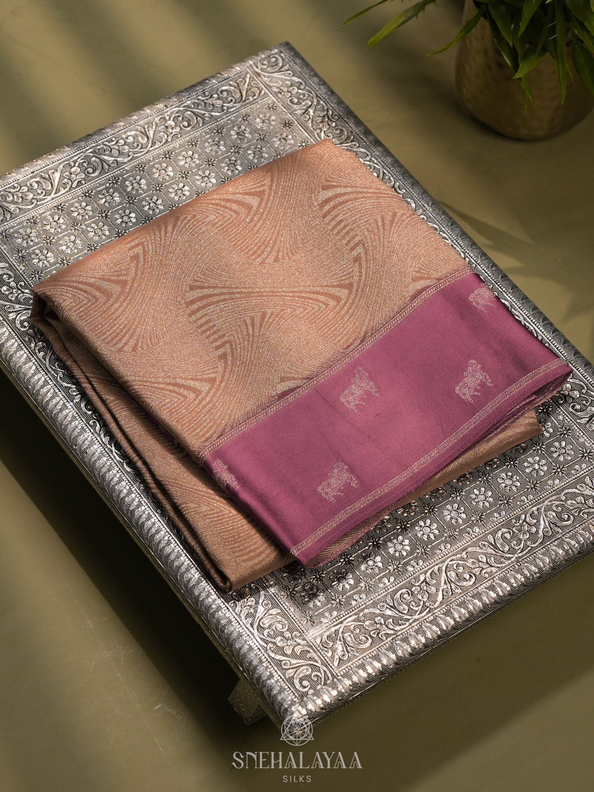 Cream Banaras Saree