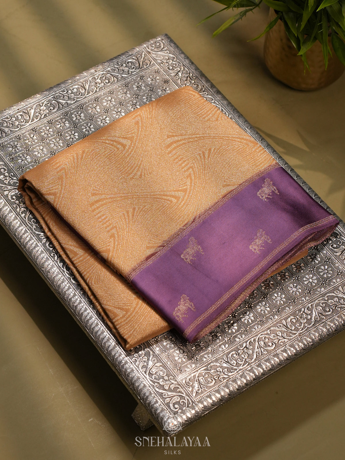 Cream Banaras Saree