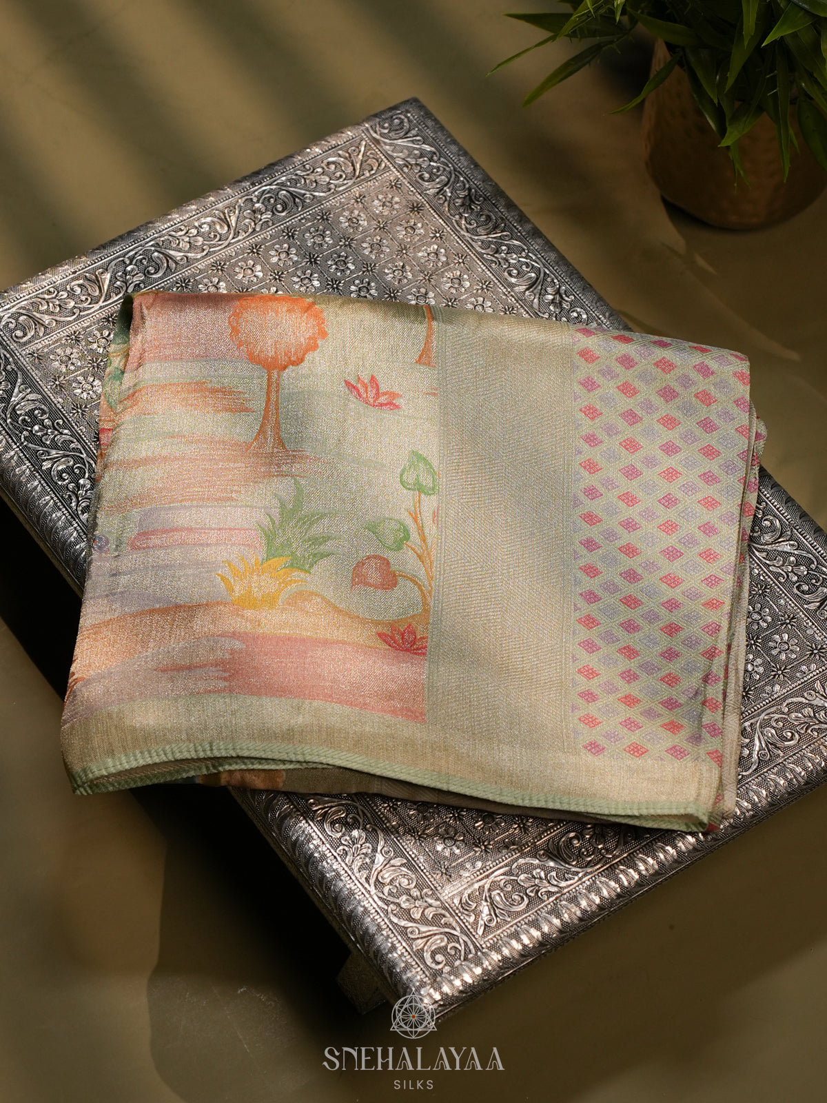 Pale Green Banaras Saree