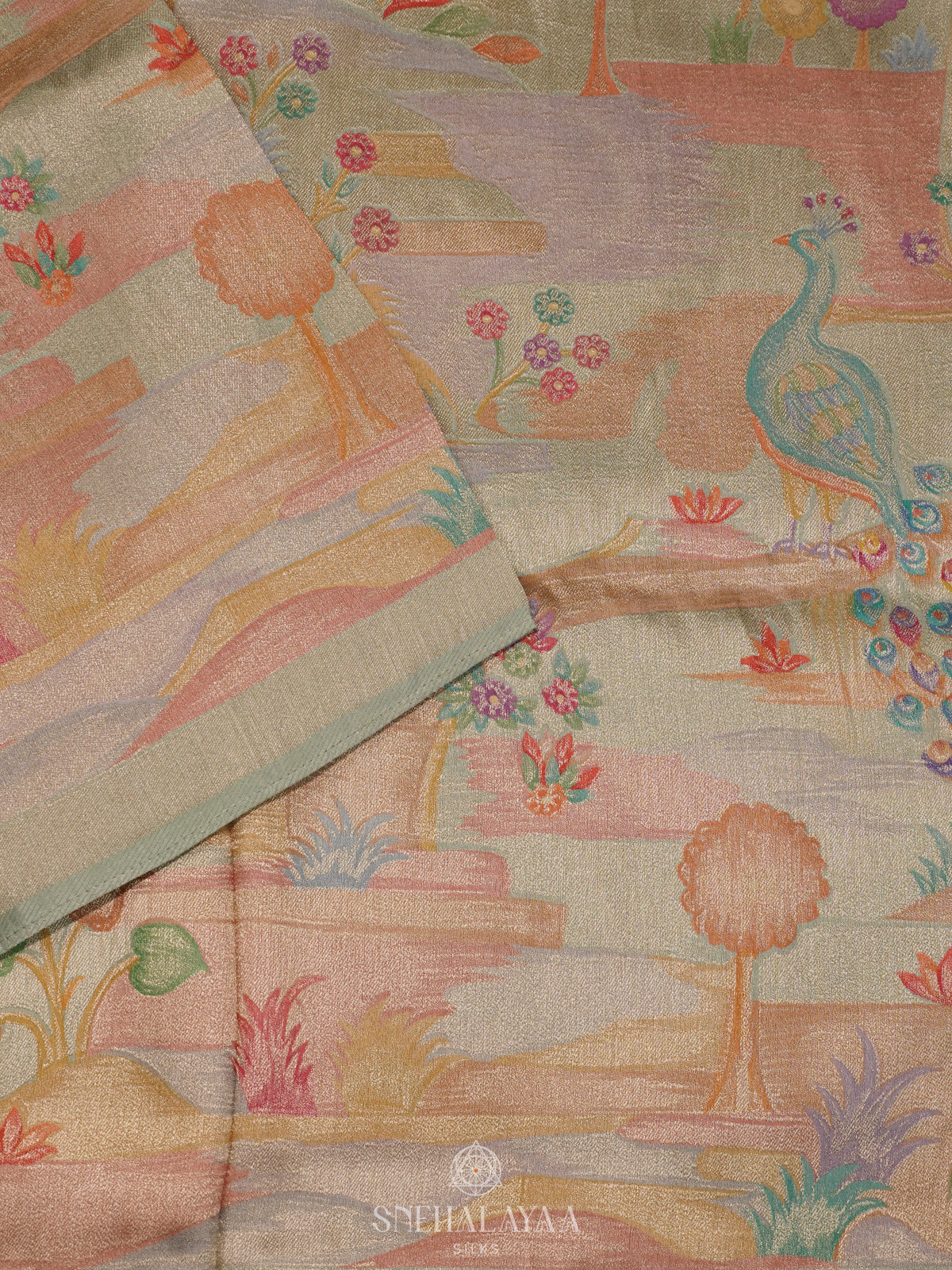 Pale Green Banaras Saree