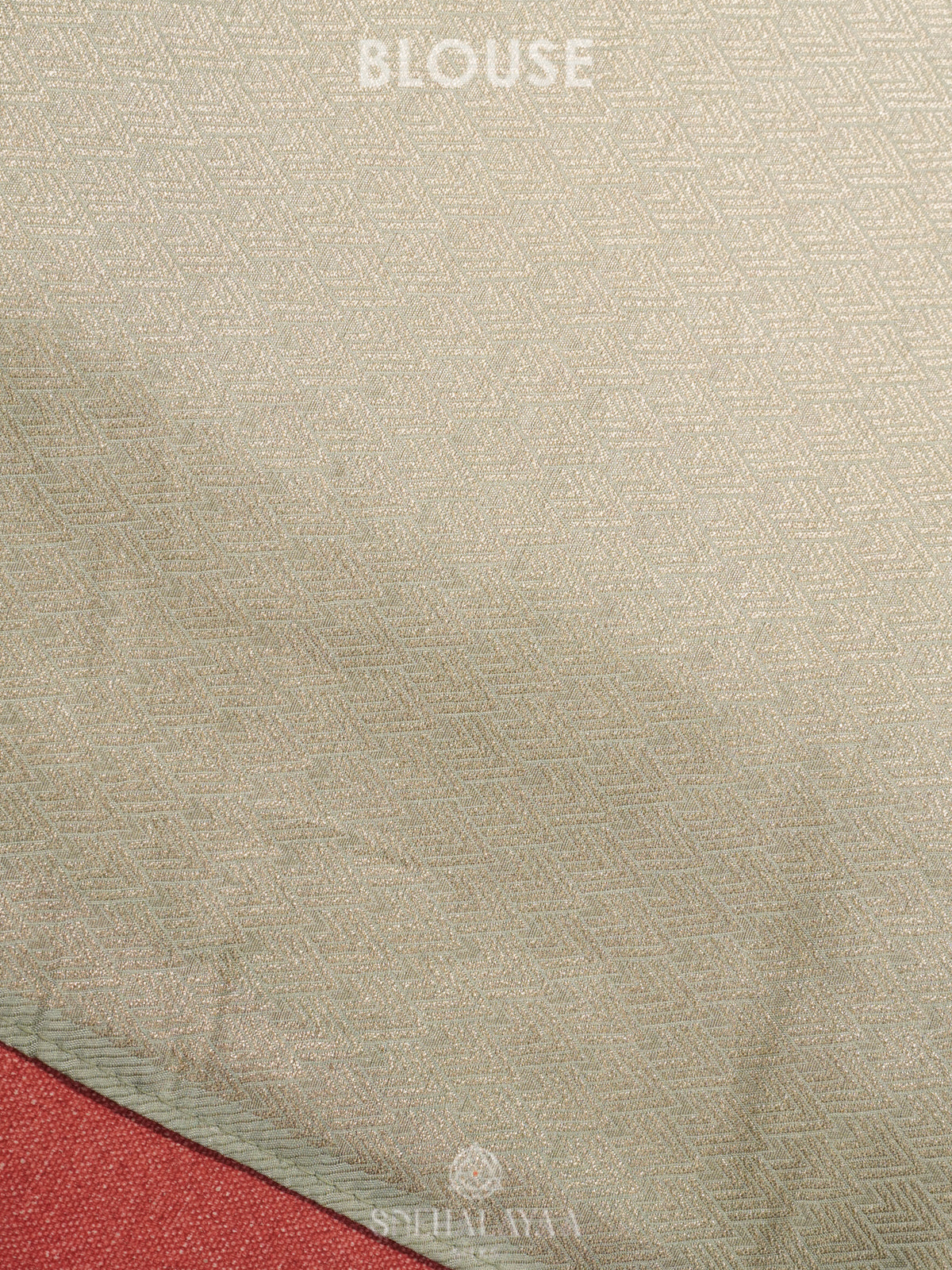 Pale Green Banaras Saree