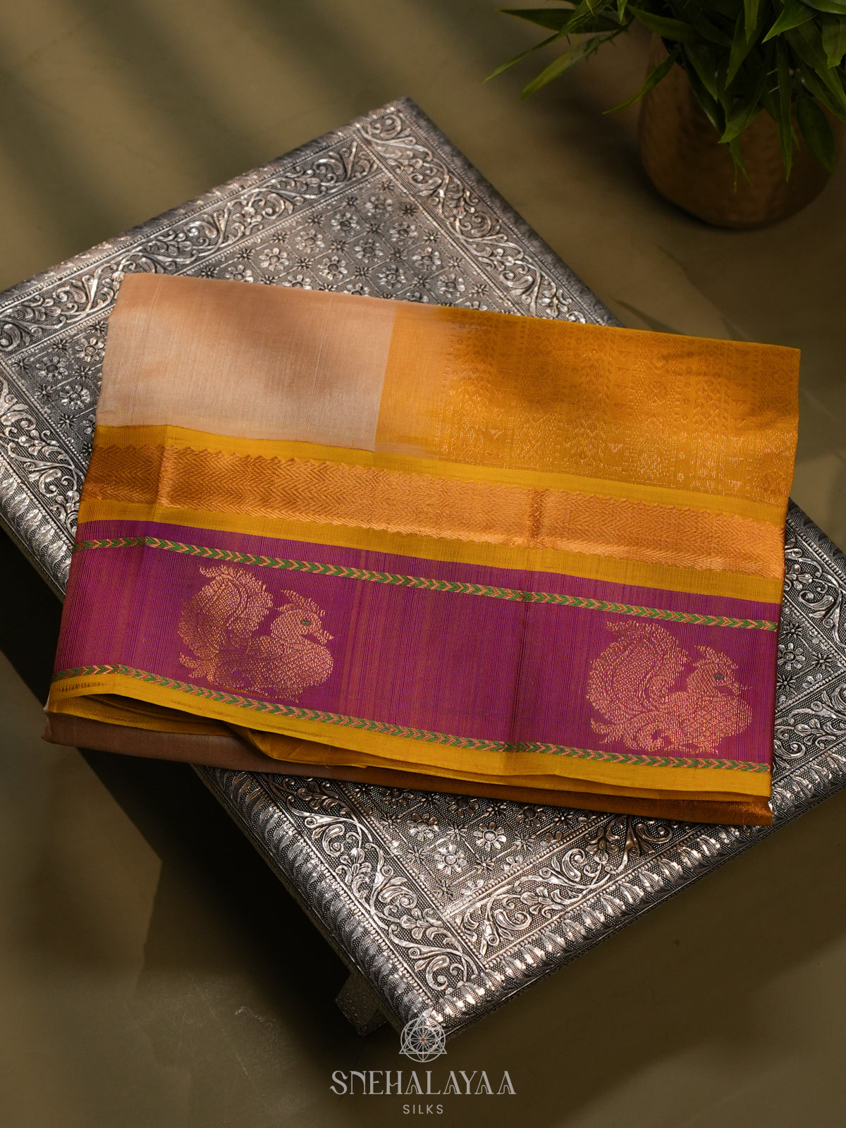 Cream Kanchi Silk Cotton Saree
